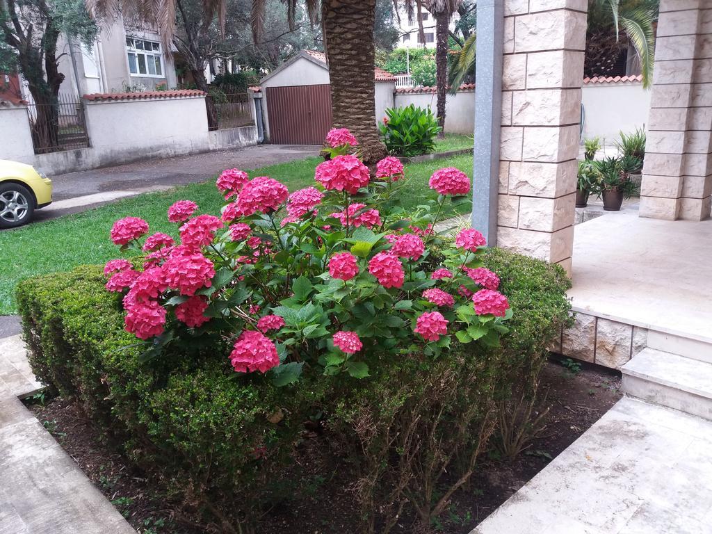 Bravo Apartmani Budva Ngoại thất bức ảnh